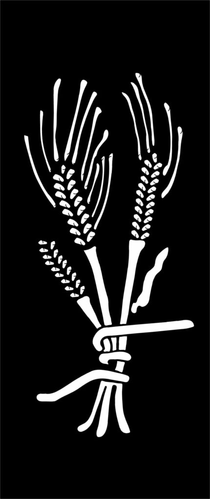 Laser cutting sheet metal (code: 560-08209)